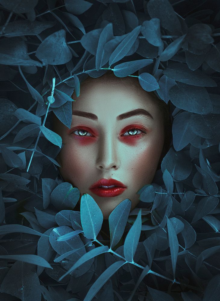 Photograph by Salem McBunny