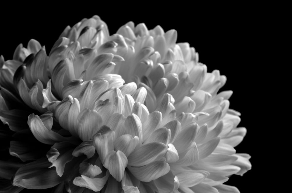 Photograph by Мария Фролова