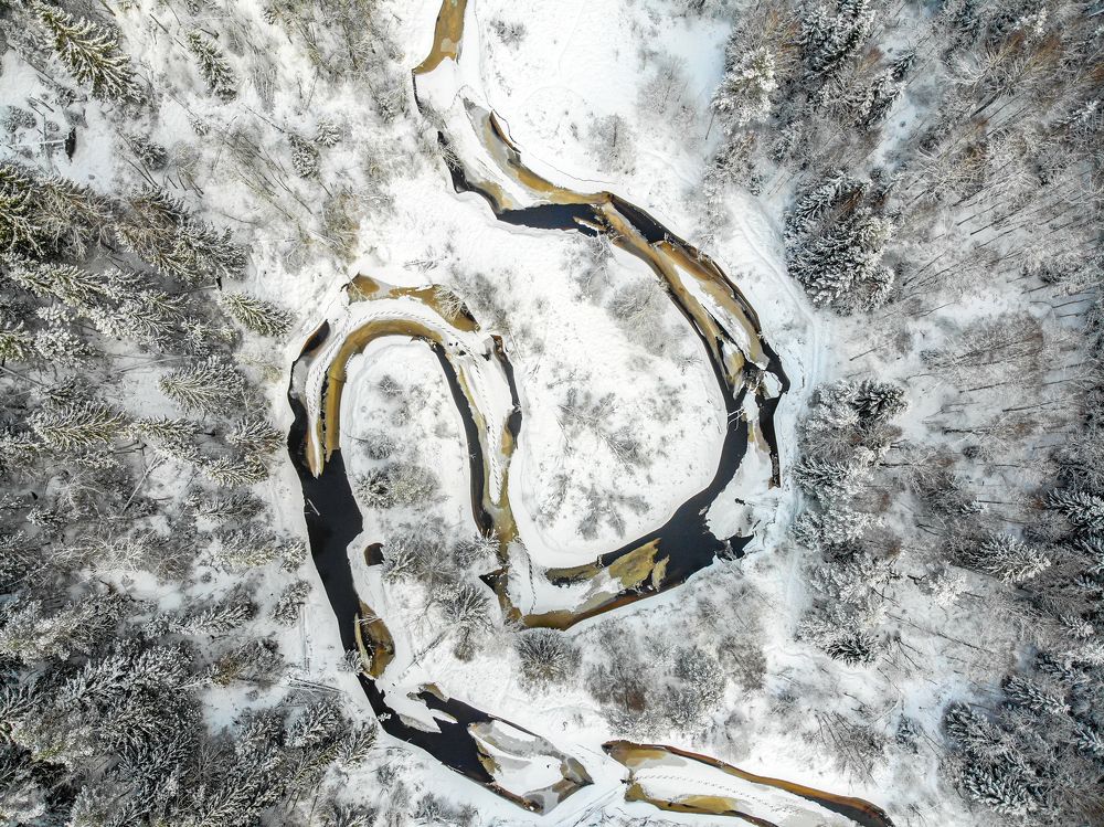 Причудливый изгиб реки в Лен области. Фото с коптера