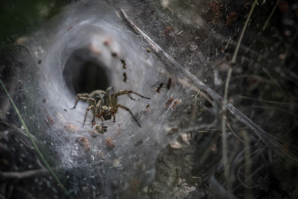 Photograph by Антон Лобачёв