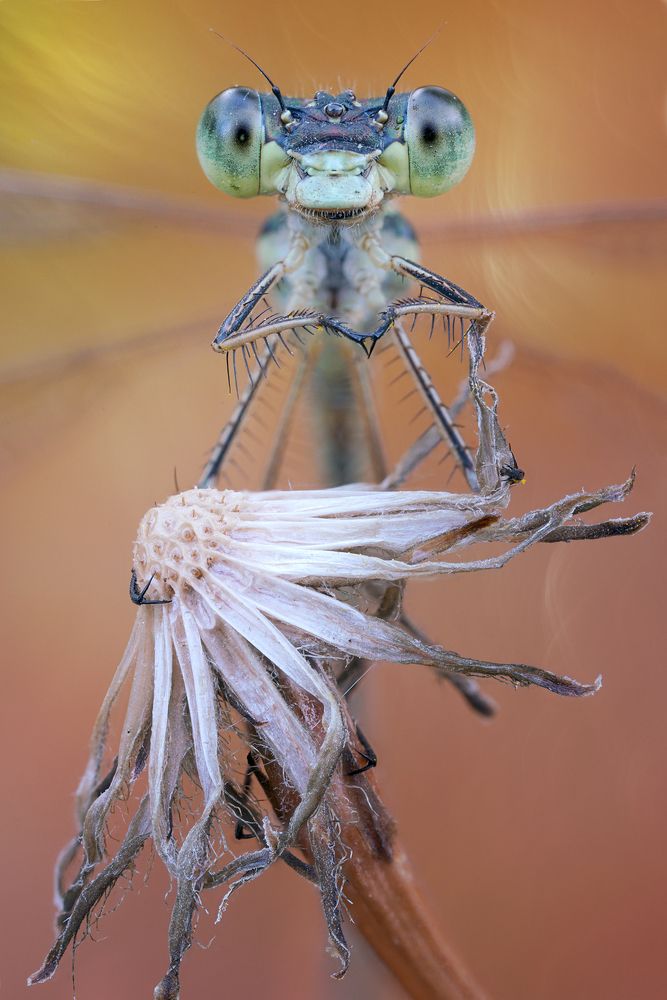 Photograph by Кузнецов Дмитрий