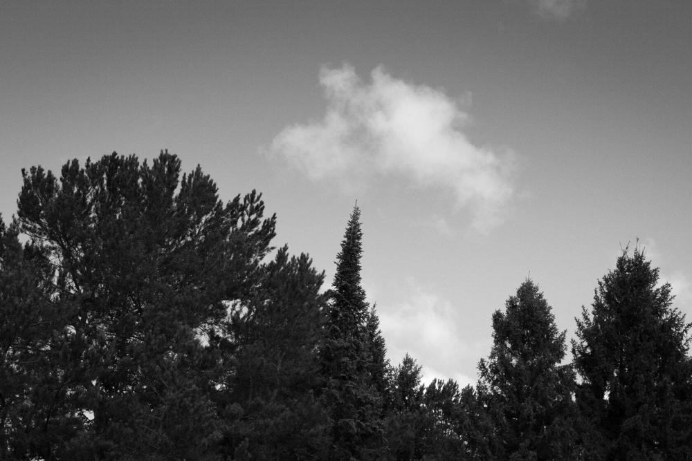 Photograph by Огаркова яна