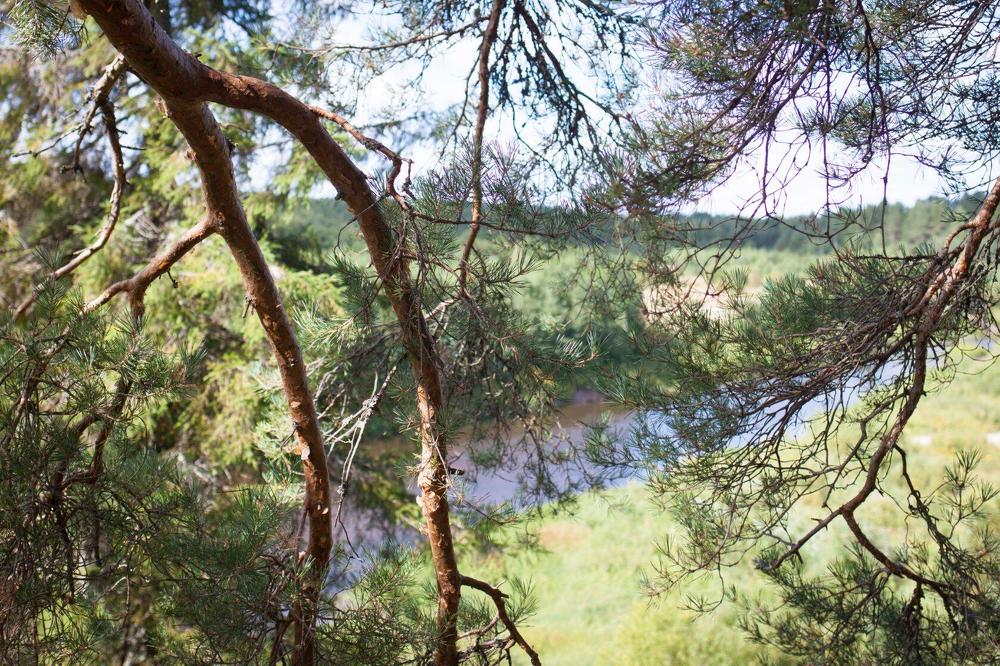 Photograph by Огаркова яна