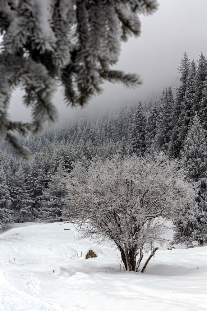 Photograph by Аскар Баймухамедов