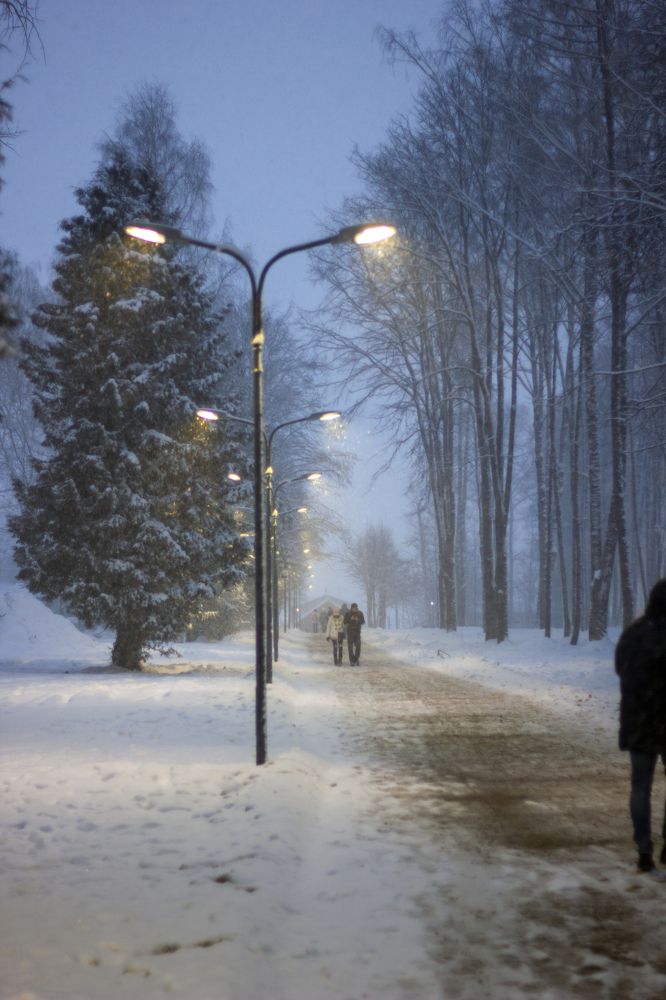 Photograph by Елена Кириллова