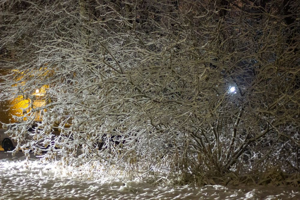 Photograph by Елена Кириллова