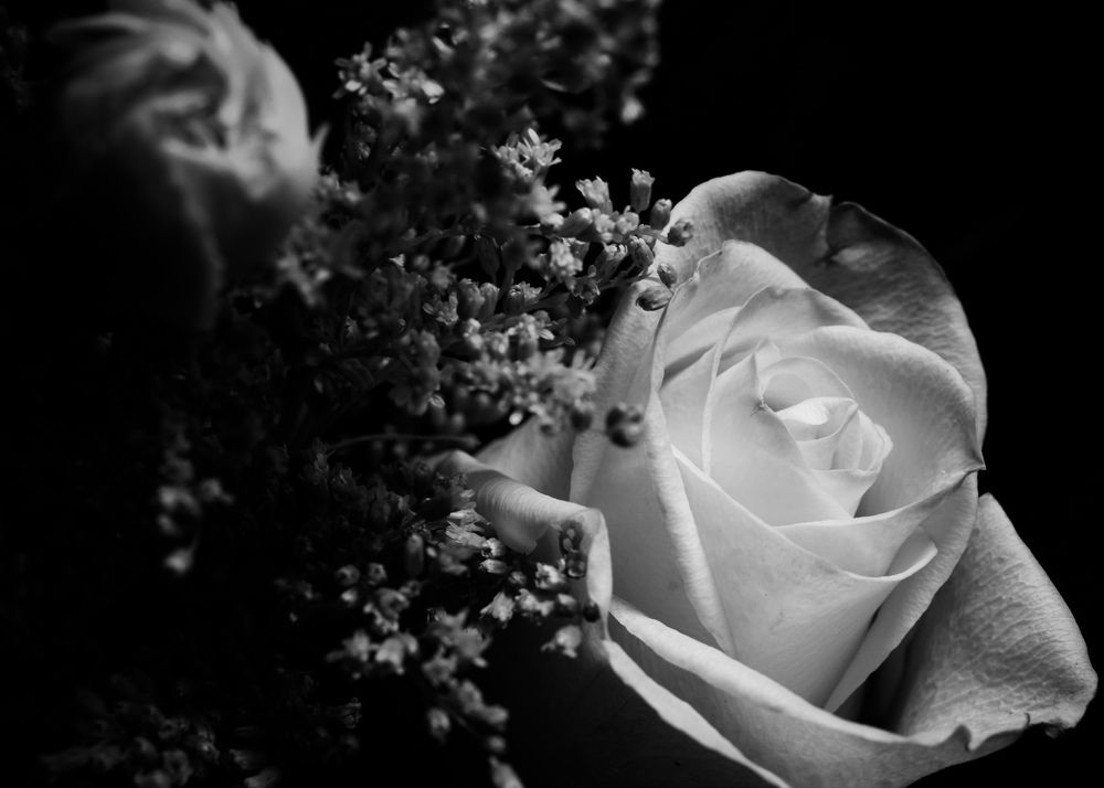 Photograph by Francisco Segura