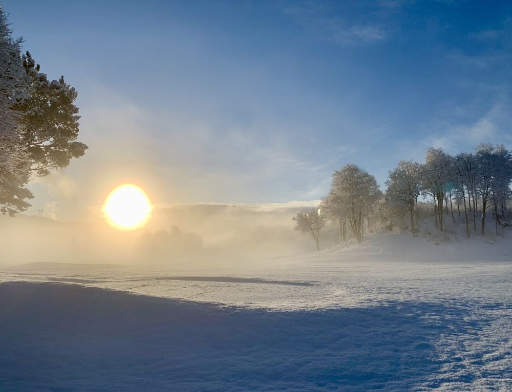 Photograph by Irina Andrienko