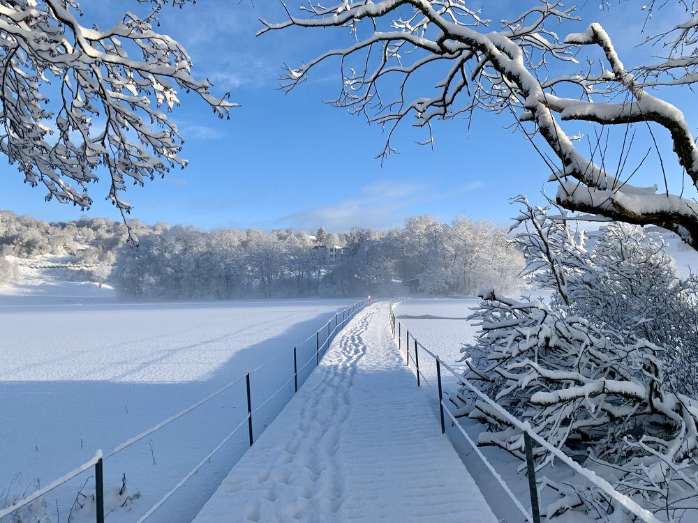 Photograph by Irina Andrienko