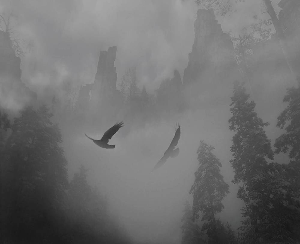 Photograph by Светлана Лехмус