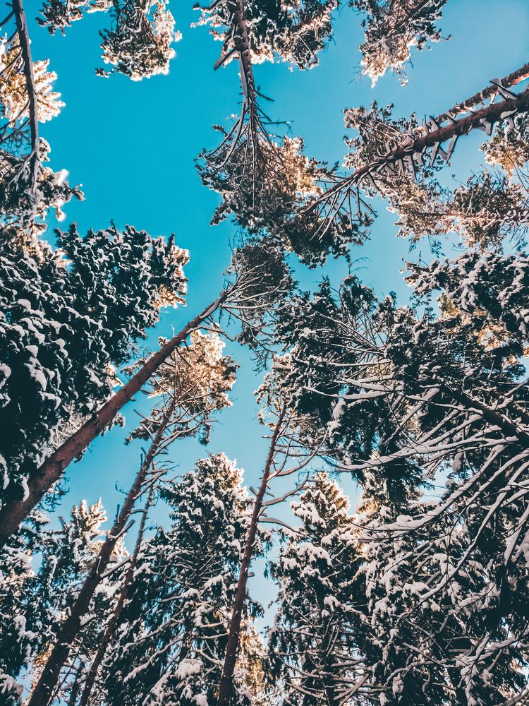 Photograph by Константин Согрин