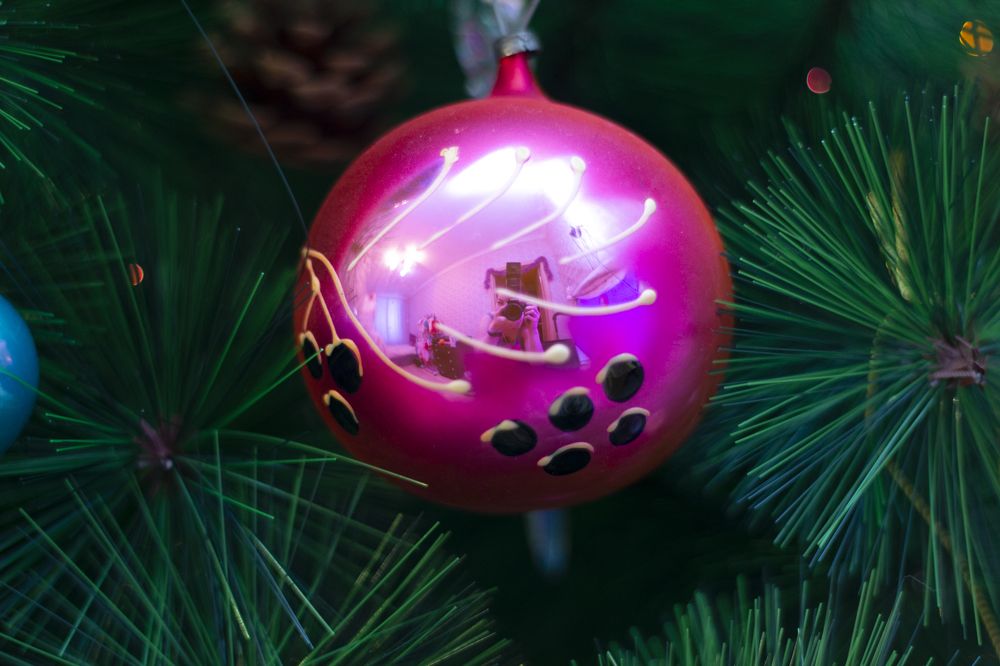 Photograph by Елена Кириллова