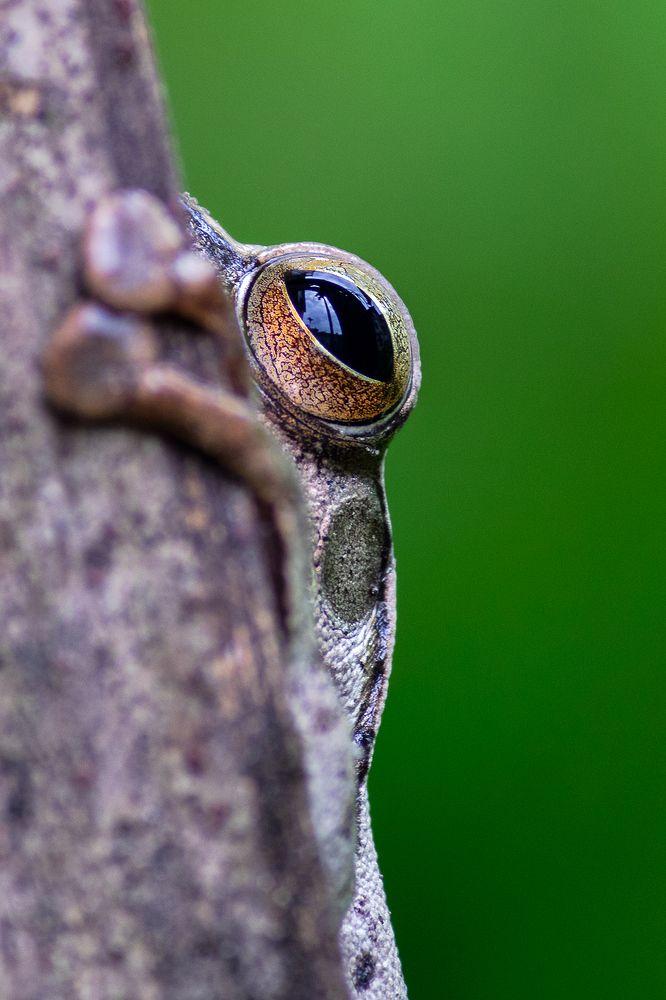 Photograph by Subhankar Bardhan