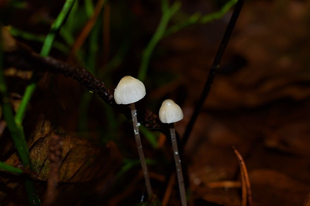 Photograph by Aleksandrs Konstantinovs