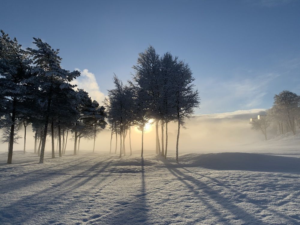 Photograph by Irina Andrienko