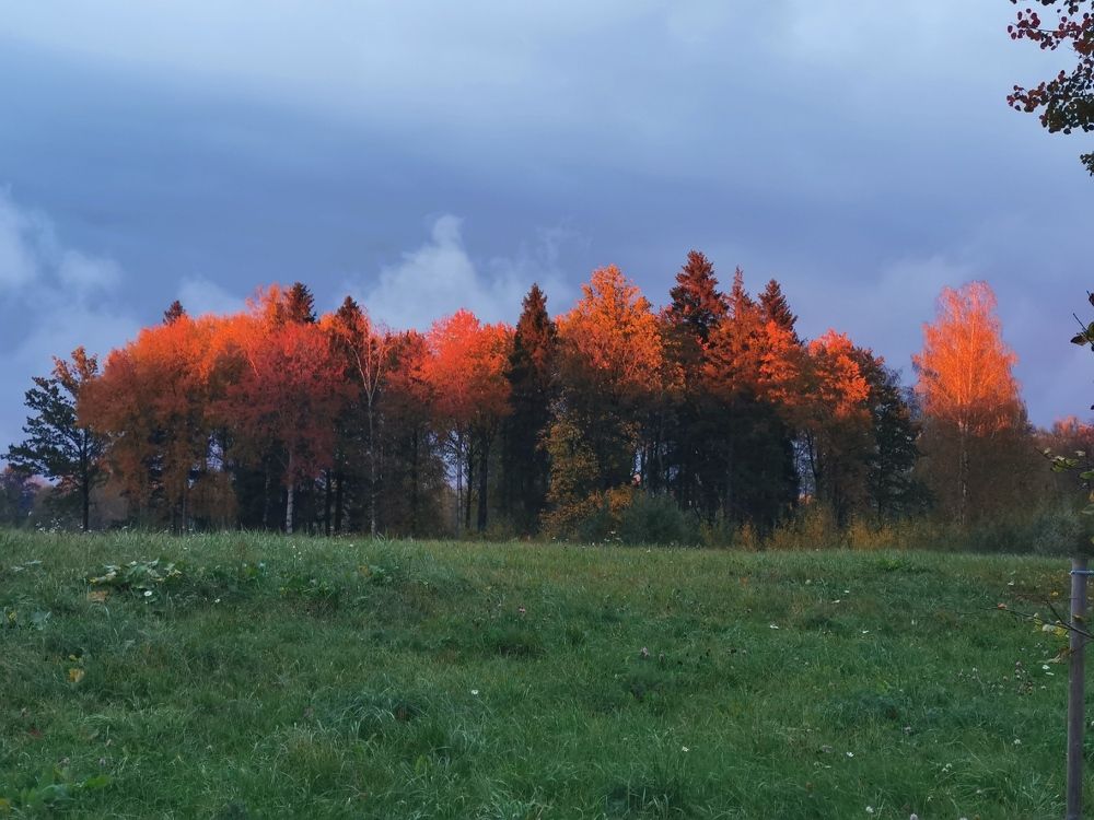 Photograph by Aleksandrs Konstantinovs