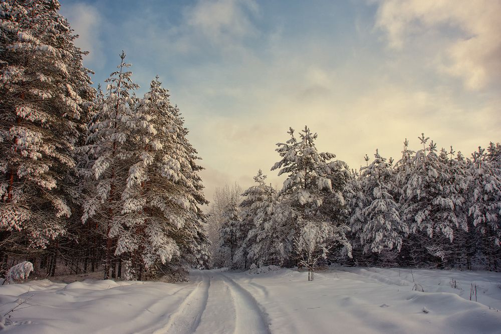 Photograph by Елена Зимацкая