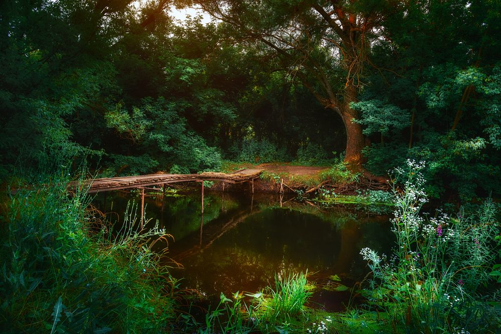 Photograph by Оксана Ильченко