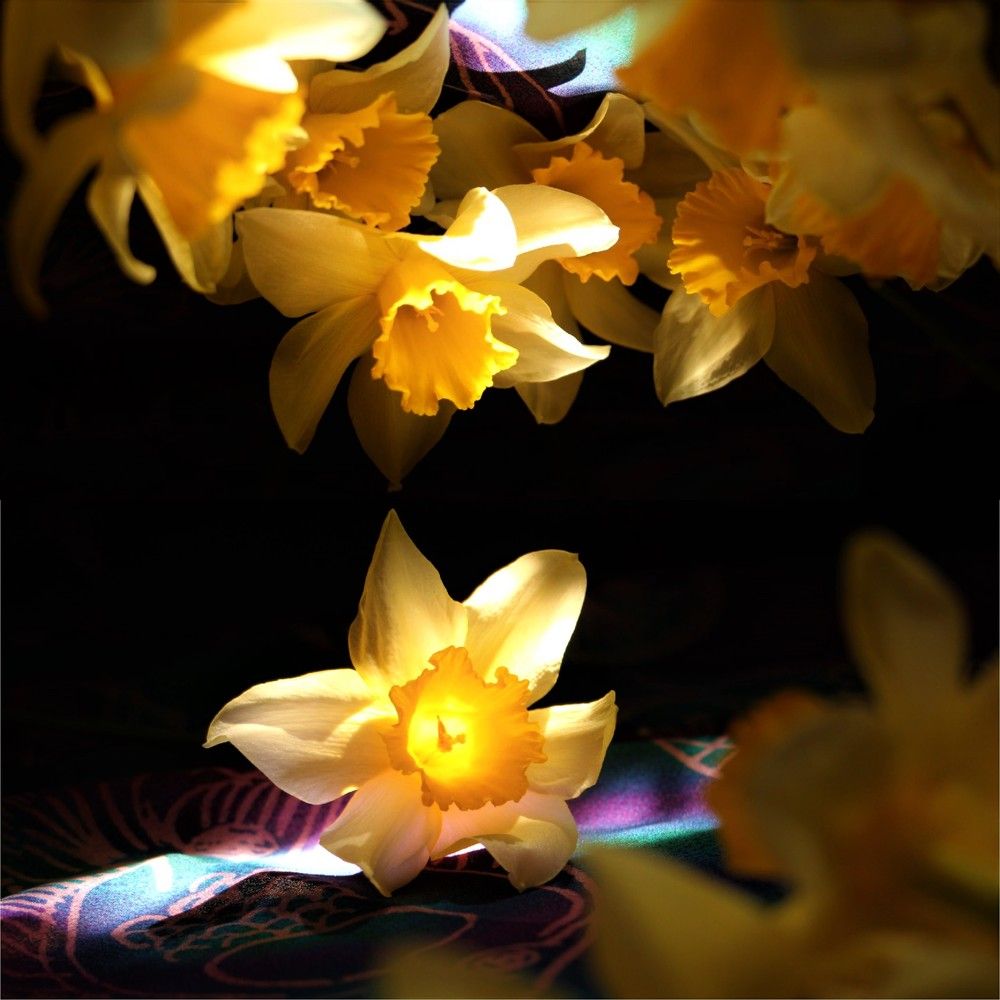 Апрельские миры