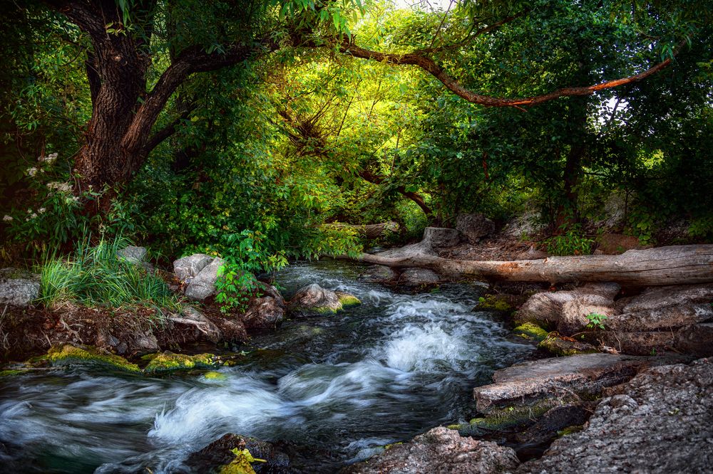 Photograph by Оксана Ильченко