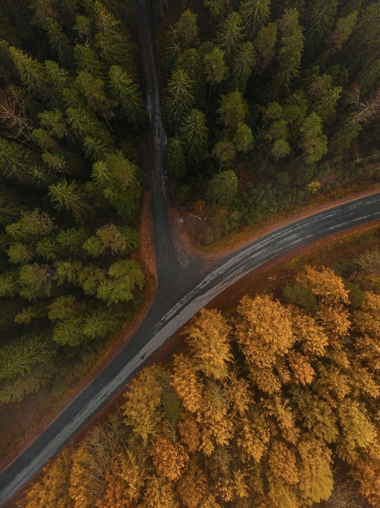 Autumn colours