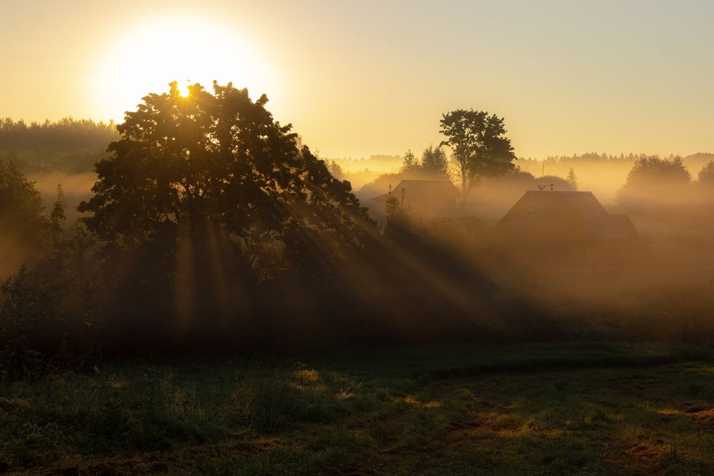 Photograph by Дмитрий Котов