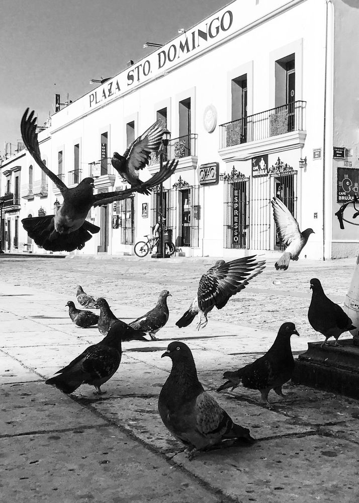 Photograph by Timofey Rodchenkov