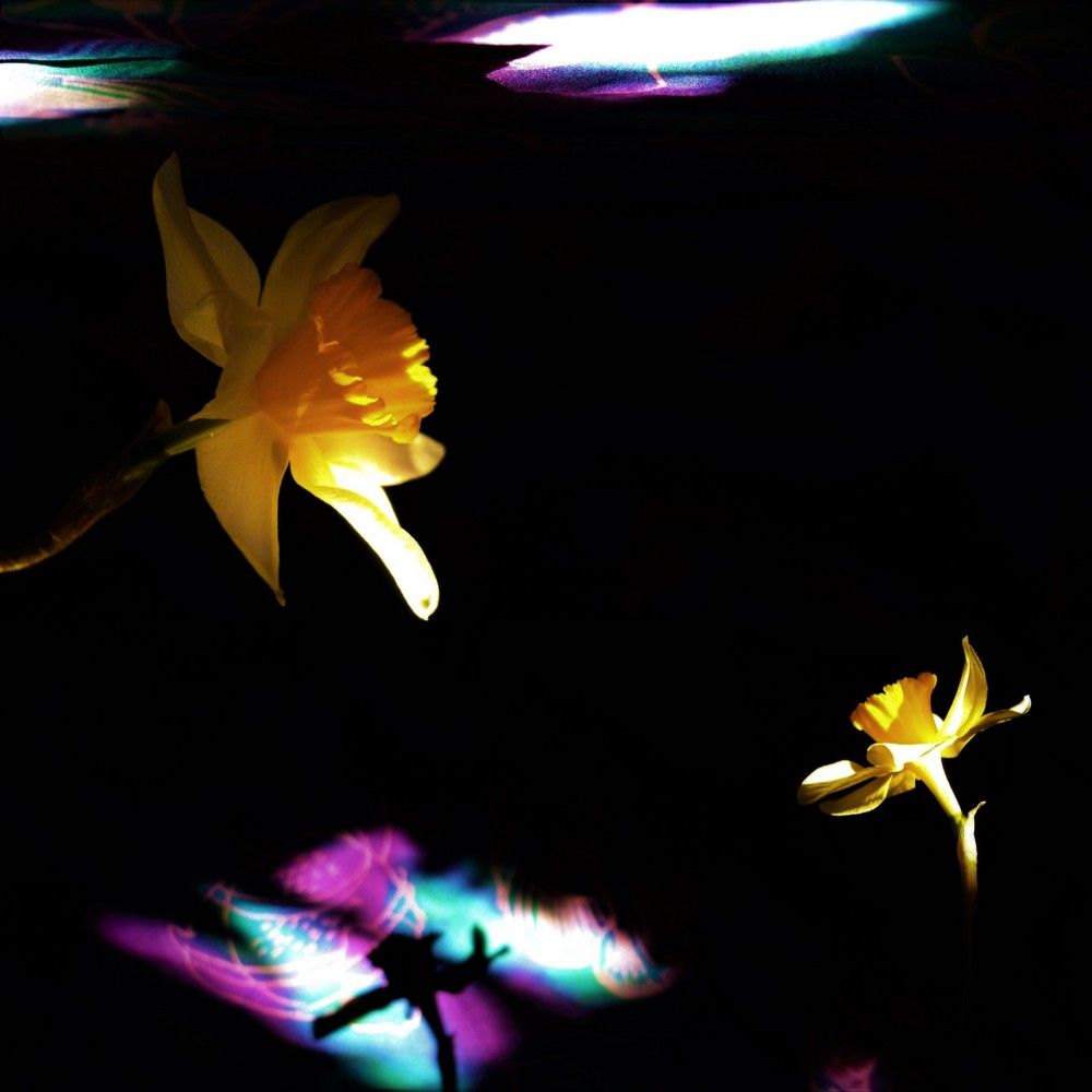 Апрельские миры