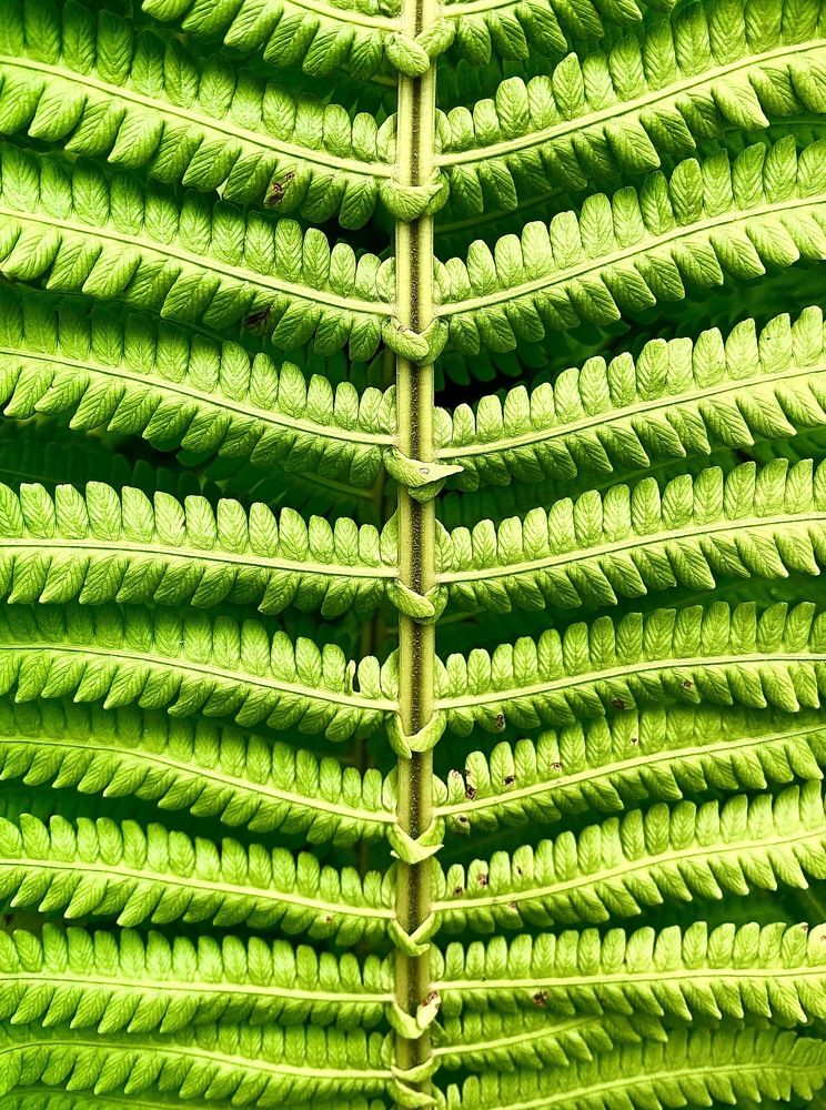 Фотография автора Елена