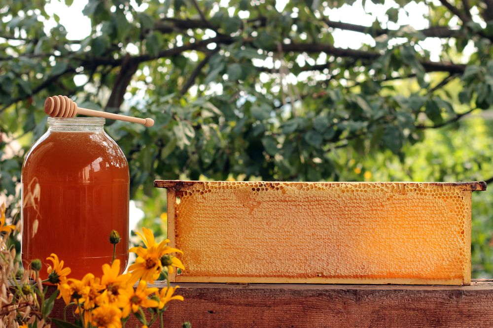 Photograph by Олег Дьяконов