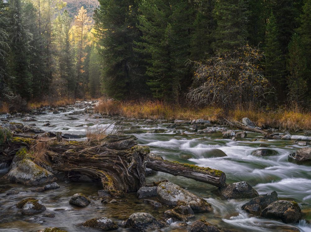 Дыхание осени