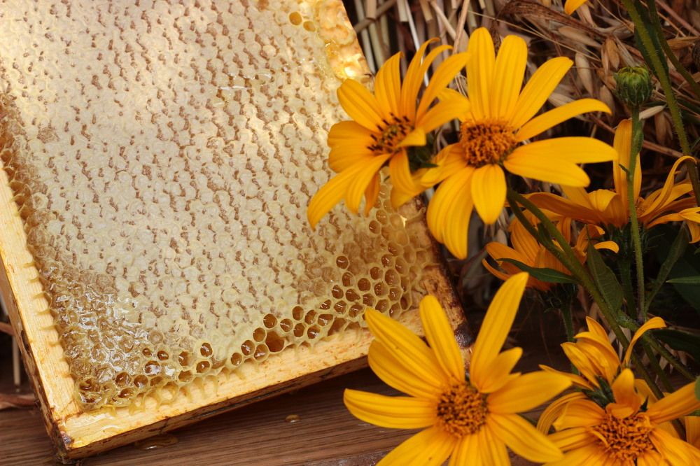 Photograph by Олег Дьяконов