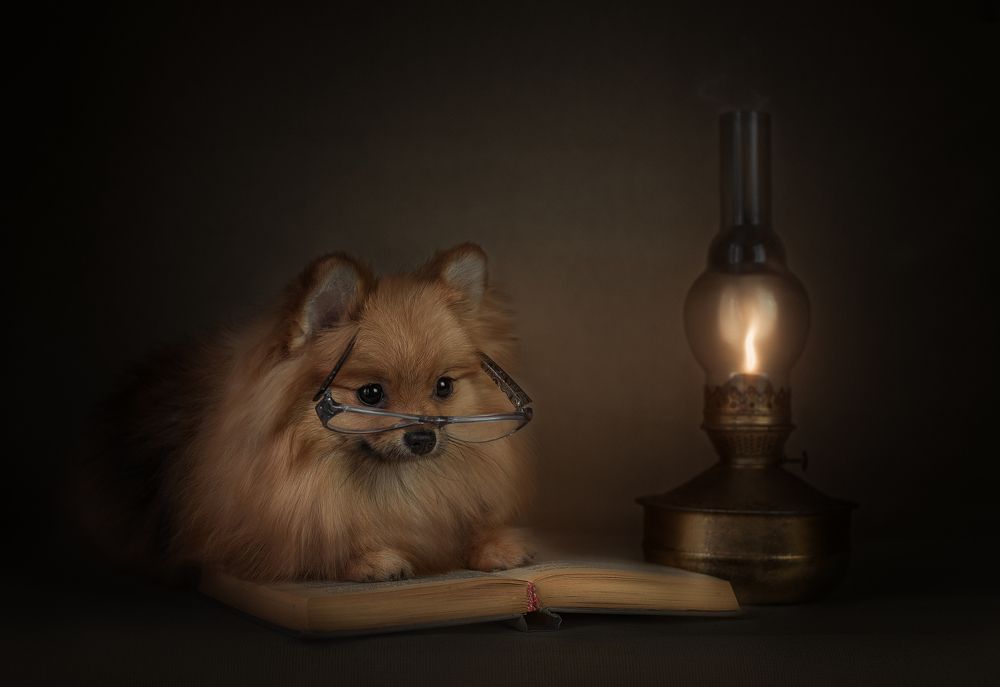 Photograph by Татьяна Носова