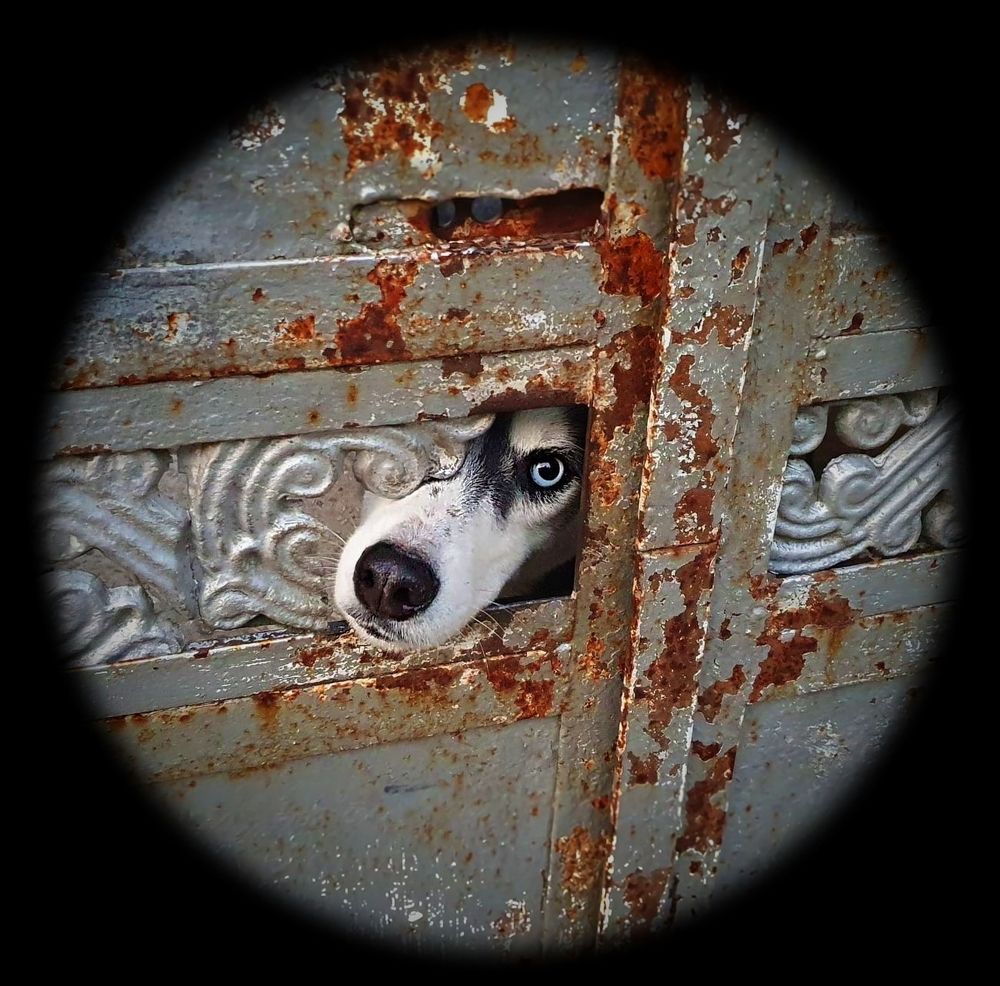 Photograph by рамаз хонелидзе