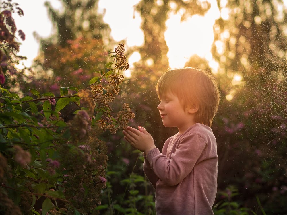 Photograph by Суханова Татьяна