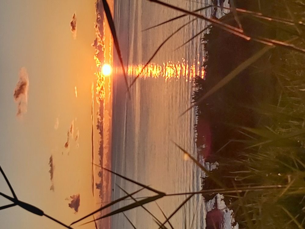 Photo #5696770