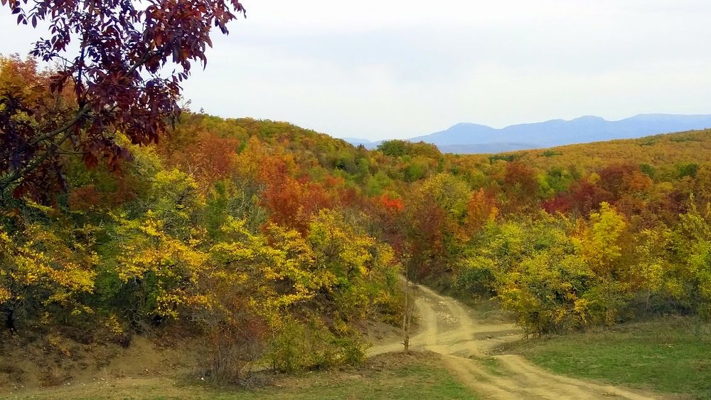 Photograph by Евгения Загудаева
