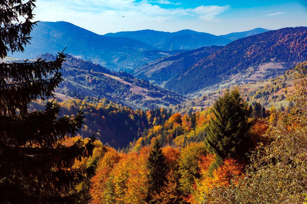 Фотография автора Віталій