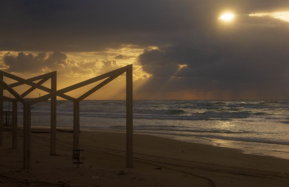 Photograph by Alexandra Esh