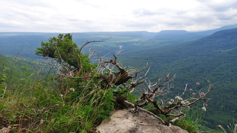 Photograph by Anna Pavlova