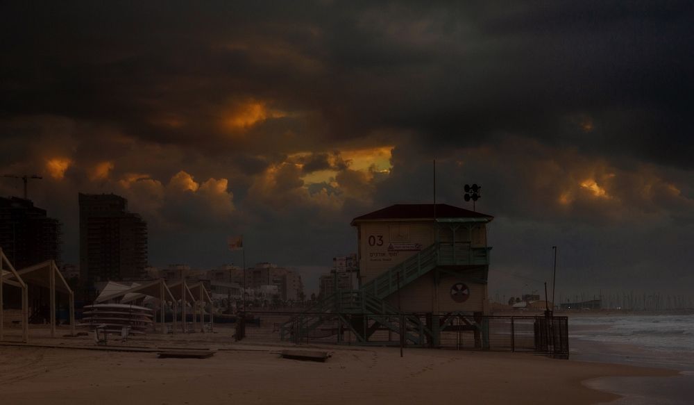 Photograph by Alexandra Esh