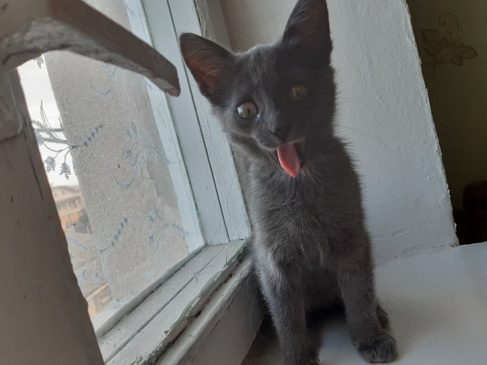 Photograph by Mariana Diaconu