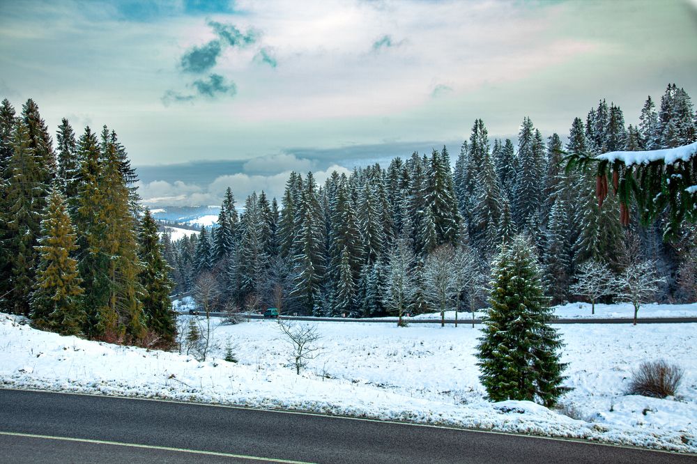 Фотография автора Віталій