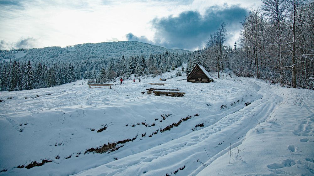 Фотография автора Віталій