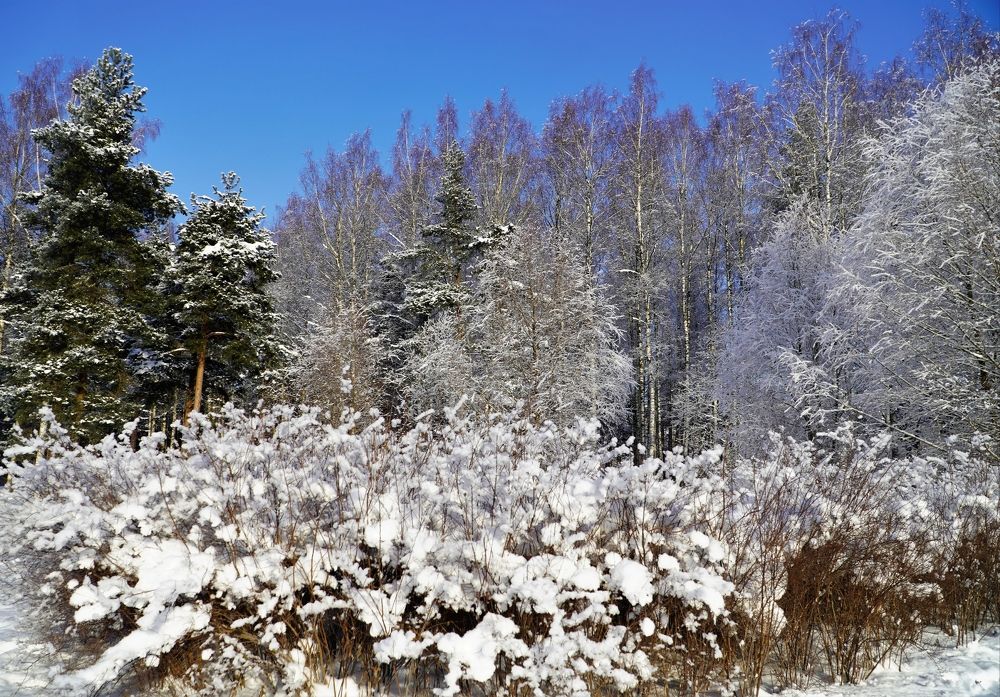 Photograph by Марина Безенкина