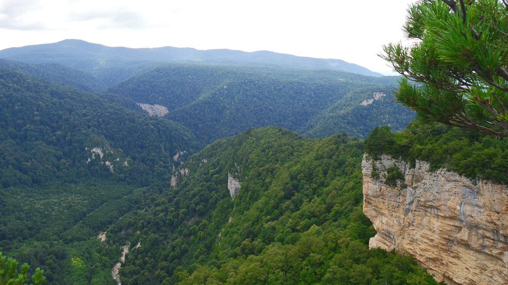 Photograph by Anna Pavlova