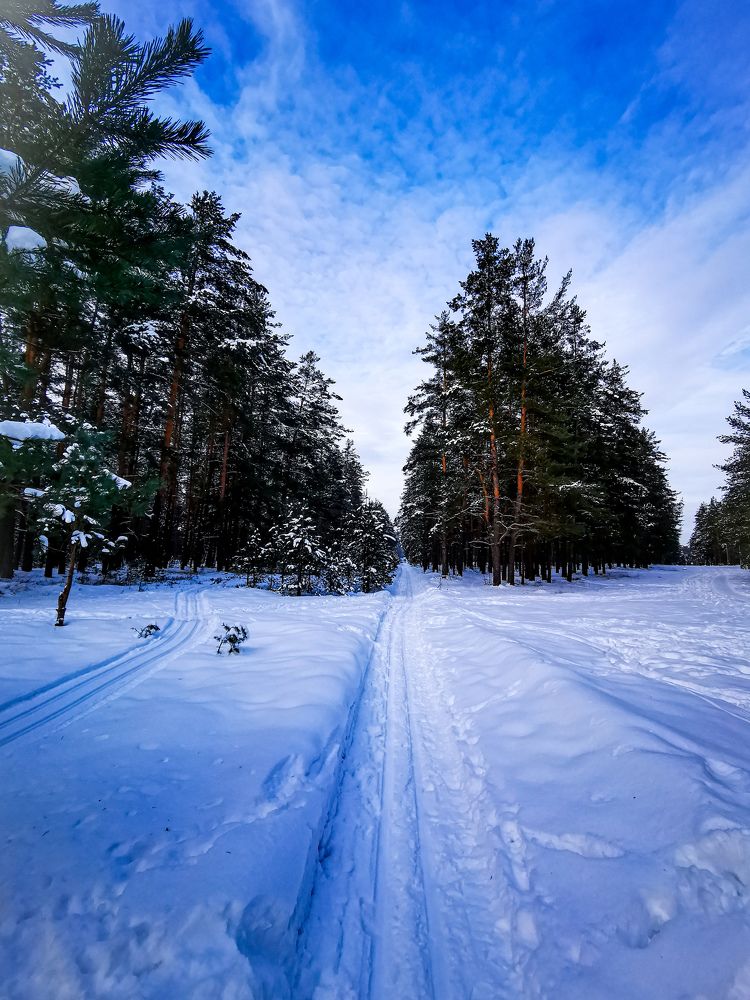 Фотография автора Дмитрий Лебедь