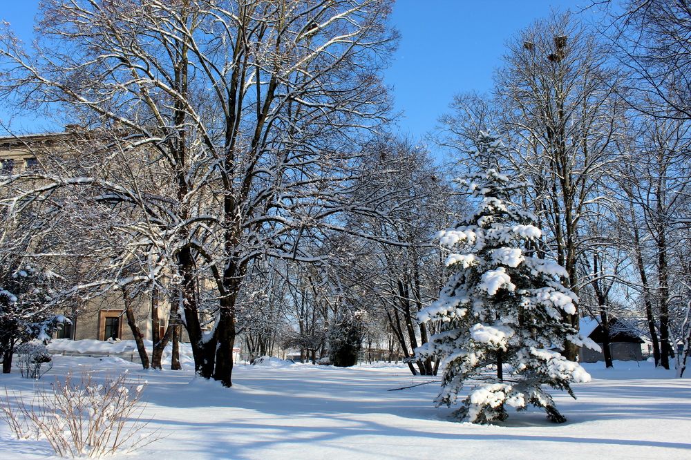 Photograph by Игорь Санюк