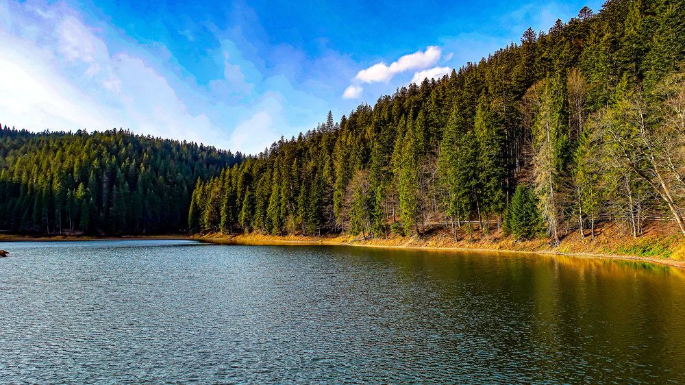 Фотография автора Віталій