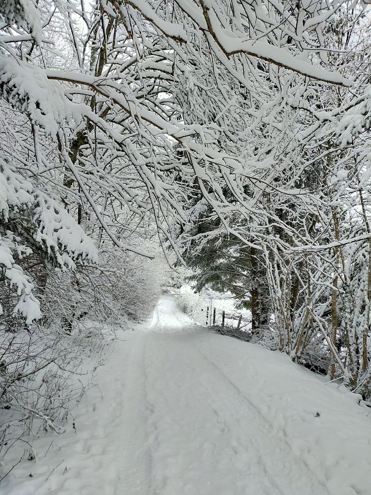 Photograph by Валерия Чернюк